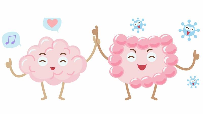 Cartoon illustration of a happy brain and gut high-fiving, surrounded by friendly gut microbes – symbolizing the gut-brain connection, mental wellness, and healthy microbiome